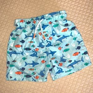 Cat & Jack ocean swim trunks